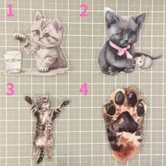 白猫さ〜ん ピンク 額無しA5】絵画 イラスト 猫絵 猫 白猫 cat art