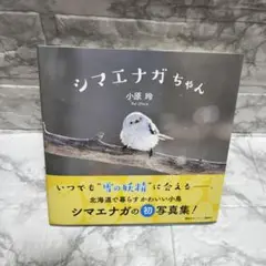 シマエナガちゃん