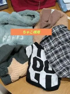 【1】犬服まとめ売り5点セット／小型犬／洗濯済／ほぼ未使用