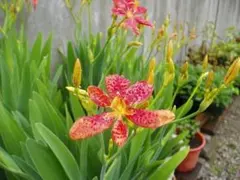 まーちゃん様 リクエスト 3点 まとめ商品