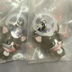 JO1 JOCHUM めじるしアクセサリー　チュララ　2個セット