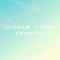 ぷーちゃん様 リクエスト 3点 まとめ商品