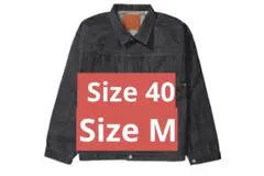 Item thumbnail for item fa162450-dfa7-4be6-852b-9690b0ce3d87