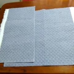 Item thumbnail for item f1e83320-303a-42d9-bb43-a6b1dcd5440c