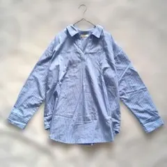 earth アース 長袖ブラウス 水色 ストライプ Vネック シャツ