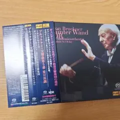フレットレスベース奏法/クロスオーバーベーシストの研究 ジャコ