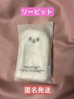 ★値下げ中★ スキズ skzoo PILOT ペンミ ネームタグ　リービット