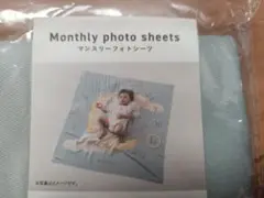 3COINS Monthly photo sheets ニューボーンフォト用