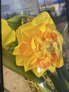 クロシバ様 リクエスト 2点 まとめ商品