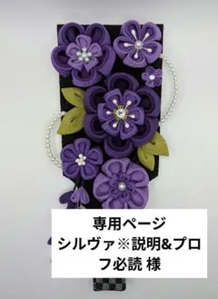 専用ページ シルヴァ※説明&プロフ必読 様 羽子板