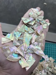 自然貝殻　アワビ貝　30g 螺鈿細工　ハンドメイド　ハンドクラフト　アクセサリー