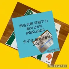 四谷大塚 組分け 合不合判定テスト5.6年生