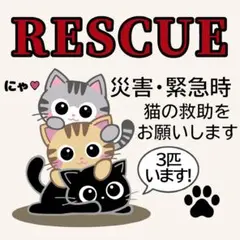 Item thumbnail for item c69bb137-a996-4ad4-888c-c7227a8a9079