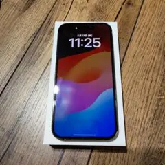 Apple iPhone 14 Pro 1TB 本体