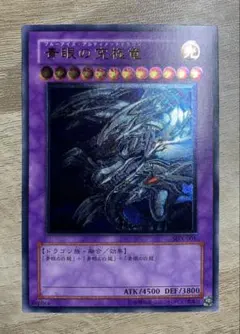 m70905828830_1.jpg?1772805901