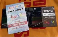 なにわ男子 東京ドーム1/12会場限定 ステッカー ・チケット型カード