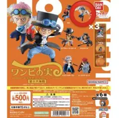 コビー　ワンピの実