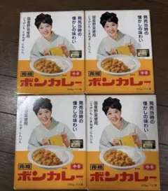 ボンカレー 中辛 200g 4個セットのサムネイル