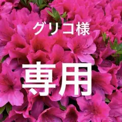 グリコ様専用でございます