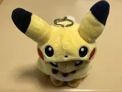 ポケモンセンター限定品✨️ ピカチュウ イーブイ ポンチョ ぬいぐるみ