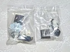 南極　特装版　ネイチャーテクニカラー