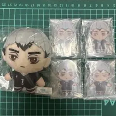 ハイキュー!! セガラッキーくじ B賞 D賞 北信介