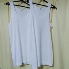 Item thumbnail for item a30e9902-3884-428a-93a4-8c1f25d30fb5