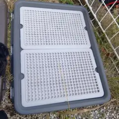 Item thumbnail for item 037b4c0a-40fb-4bda-bd30-a0eae39124dd