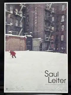 SAUL LEITER Early Color 写真集 - メルカリ
