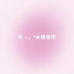 朴・。°★様 専用ページ