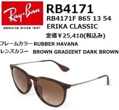 HI様専用 レイバン RB4171F 865 13 54 ERIKA サングラス