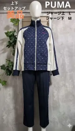 Item thumbnail for item 25441a2c-9d4a-4849-b378-71f666548e73