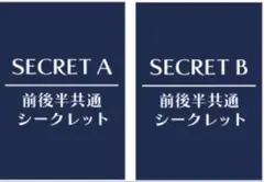 OVER REQUIEMZ オバレク オトガ ランチョンマット シークレットAB OVER REQUIEMZ オバレク オトガ ランチョンマット シークレットAB