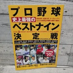 Item thumbnail for item 1121834d-d4b6-4d3a-952a-efea14b26243