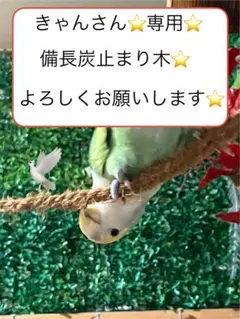 Item thumbnail for item 237aa499-f4df-4ad1-8624-c6408cdd70b3