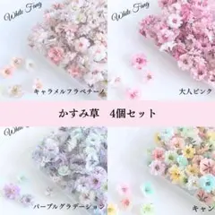 ラスト１☆かすみ草 4色セット◆ドライフラワー　花材
