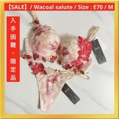 Wacoal salute 26G ワコール サルート 26G 上下セット 新品