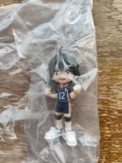 もうすぐ消します　ハイキューパルバース　PalVerse vol.2 烏野　山口