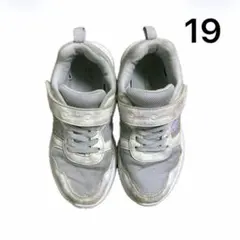 Item thumbnail for item c19596aa-24ff-479a-94cb-898accdf29d0