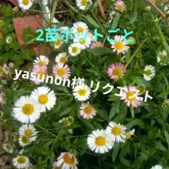 yasunon様 リクエスト 3点 まとめ商品