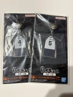 りん様　専用 ハイキュー　アクリルチャーム　一番くじ全国への道F賞　赤葦　木兎