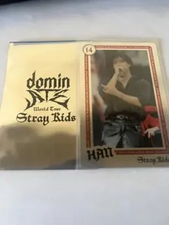 dominATEエコパ事後販売 ランダムライブフォトカード ハン ジソン