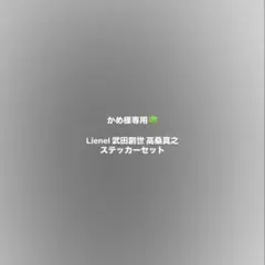 かめ様専用出品