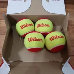 Wilson テニスボール レッドボール 練習用 4球