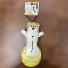タグ付き⭐︎新品未使用品⭐︎のびしば　熊本のサムネイル