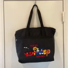 東京ディズニーリゾート ロゴ 刺繍 トートバッグ TDL TDS ミッキー 