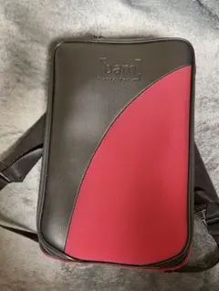 Item thumbnail for item 2c5f4858-95c3-4c6e-8f29-301f984914a4