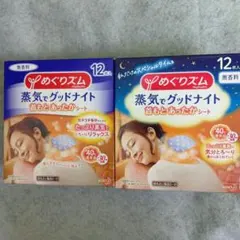 めぐりズム 蒸気でグッドナイト 12枚入り2個セットのサムネイル
