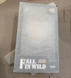 ポップマート THE MONSTERS (ラブブ) FALL IN WILD