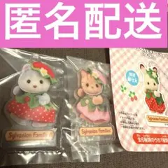 シルバニア 赤ちゃんアクリルキーチェーン 2種類セット